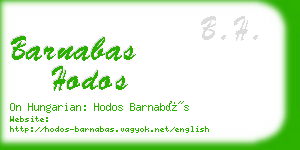 barnabas hodos business card